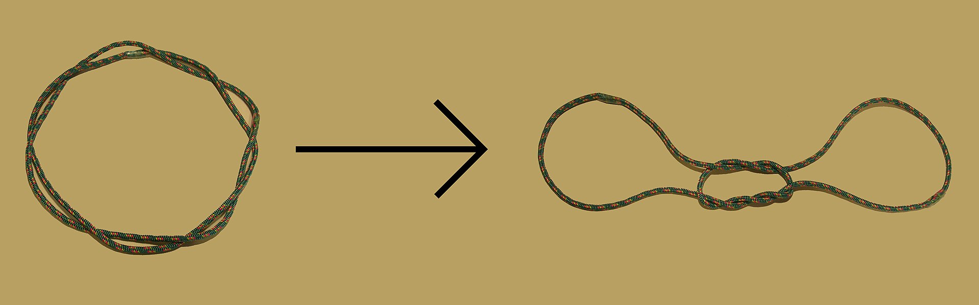 Base editing can rewrite a single letter of DNA without cutting the double helix in two.